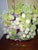 1950s Grape Vines Bonsai Tree For Sale - Image 5 of 12