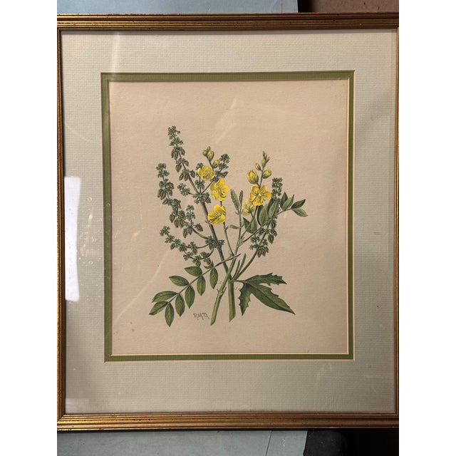 Antique Victorian Gilt Framed Floral Botanical Still Life & Leaf Lithograph Print In very good original condition showing...