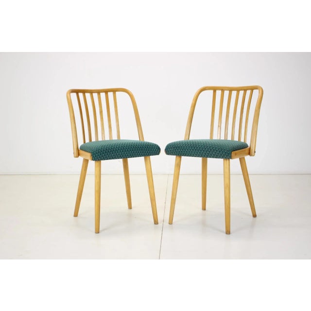 Dining Chairs by Antonin Suman, Czechoslovakia, 1960s, Set of 6 For Sale - Image 11 of 11