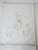 Mid 19th Century Us Pacifc Railroad Botanical Lithograph Book Plate - Set of 6 For Sale - Image 4 of 10