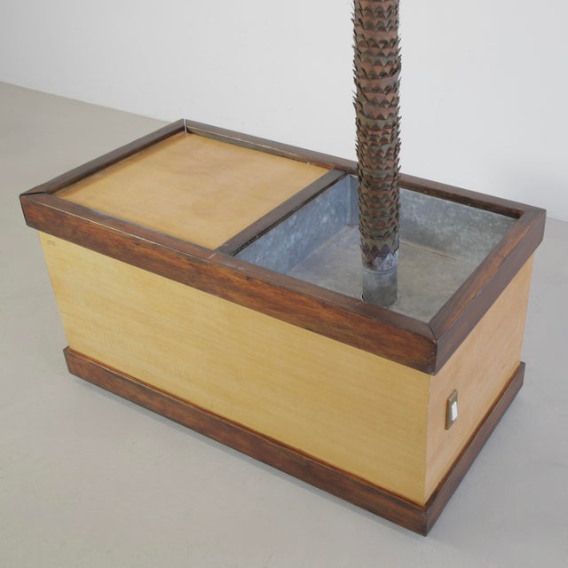 Vintage Italian Brass Palm Tree Lamp by Sergio Buzzi, 1960s For Sale - Image 3 of 10