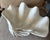 Large Vintage Sculptural Ceramic Clam Shell Bowl – Ivory Coastal Centerpiece For Sale - Image 10 of 12