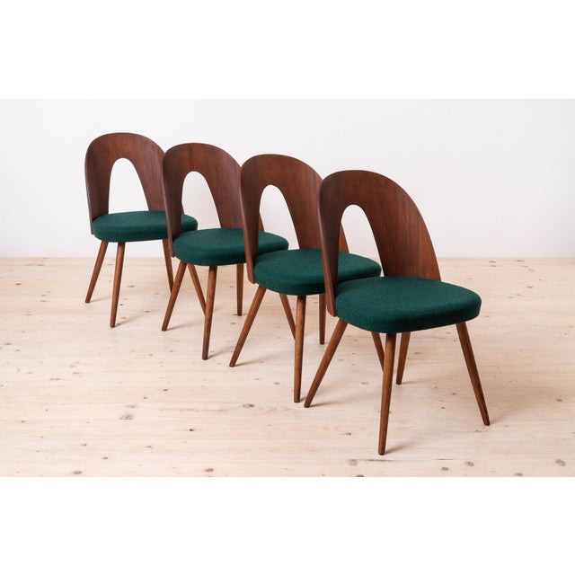 Mid-Century Dining Chairs by A. Šuman, 1960s, Set of 10 For Sale - Image 4 of 18