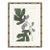 Fig II by Susan Hable For Sale