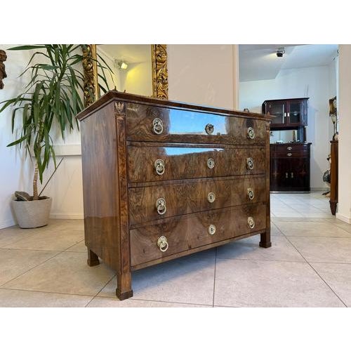 Biedermeier Chest of Drawers in Walnut For Sale - Image 6 of 18