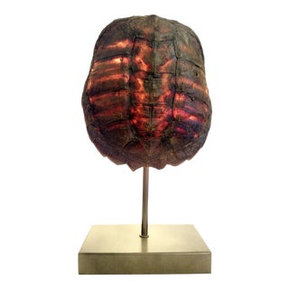 Turtle Shell Table Lamp