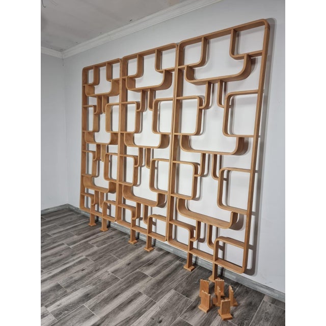 1950s Room Dividers by Ludvik Volak for Drevopodnik Holesov, 1950s, Set of 3 For Sale - Image 5 of 11