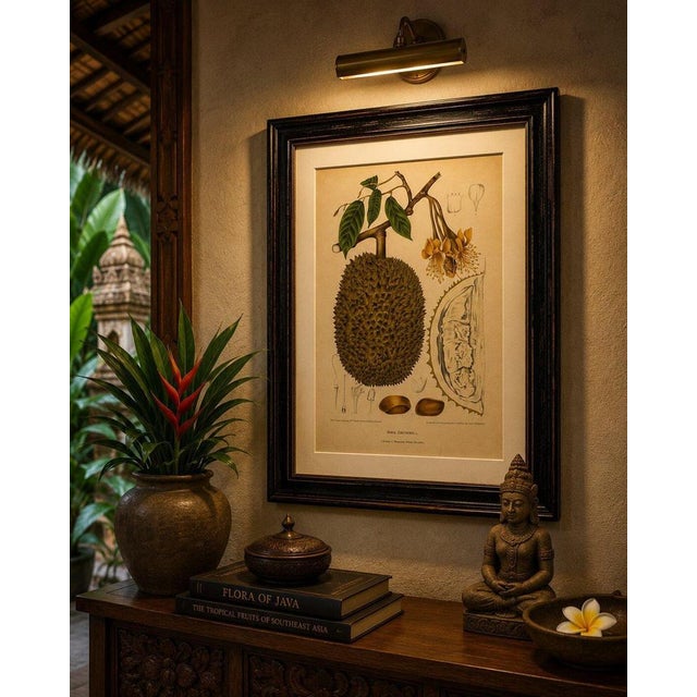 Sheep van Nooten, Durian Botanical, 1880, Chromolithograph For Sale - Image 9 of 10