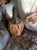 A detailed, hand-painted vintage Italian porcelain sculpture depicting an elderly man resting inside a rustic, ruined...