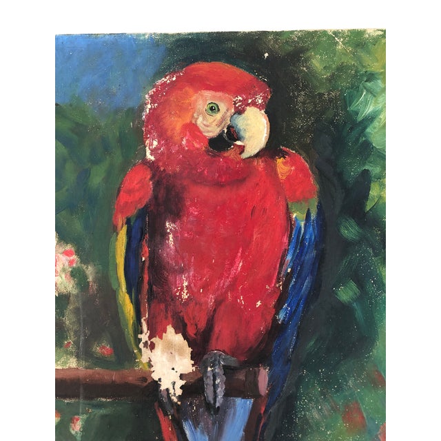 Early 20th Century Vintage 1920s Original Parrot Bird Painting on Canvas For Sale - Image 5 of 12