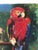 Early 20th Century Vintage 1920s Original Parrot Bird Painting on Canvas For Sale - Image 5 of 12