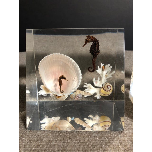 Whimsical pair of Lucite bookends featuring a coastal inspired underwater ocean scene with genuine seahorses, seashells...