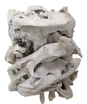 Contemporary Organic Modern Teak Root Sculpture 2