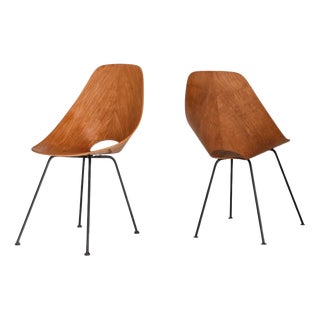 Medea Chairs by Vittorio Nobili for Fratelli Tagliabue, Italy, 1955, Set of 2 For Sale