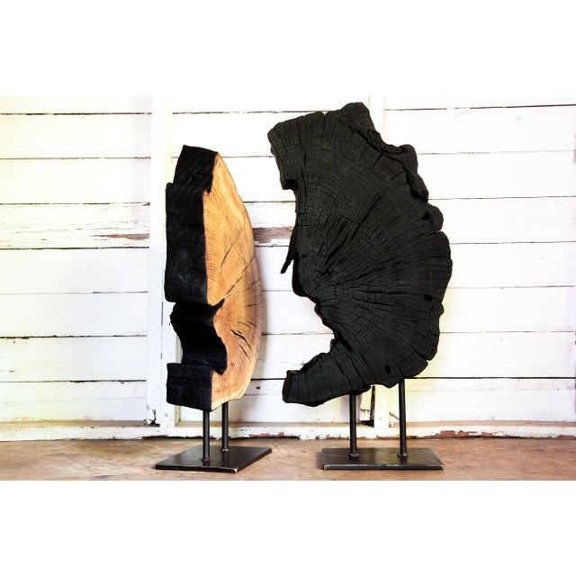 Contemporary Contemporary Indra Collection Yakisugi Modern Organic Wood Sculpture - Set of 2 For Sale - Image 3 of 10