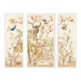 A Jungle Gathering by Allison Cosmos, Set of 3, in White Framed Paper, Large Art Print For Sale