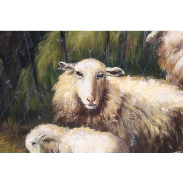 Sheep, 1920s, Oil on Board, Framed For Sale - Image 12 of 16