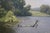 Lewis Bryden Green Meadow Bend Plein Air Landscape Oil Painting 38" For Sale - Image 10 of 14