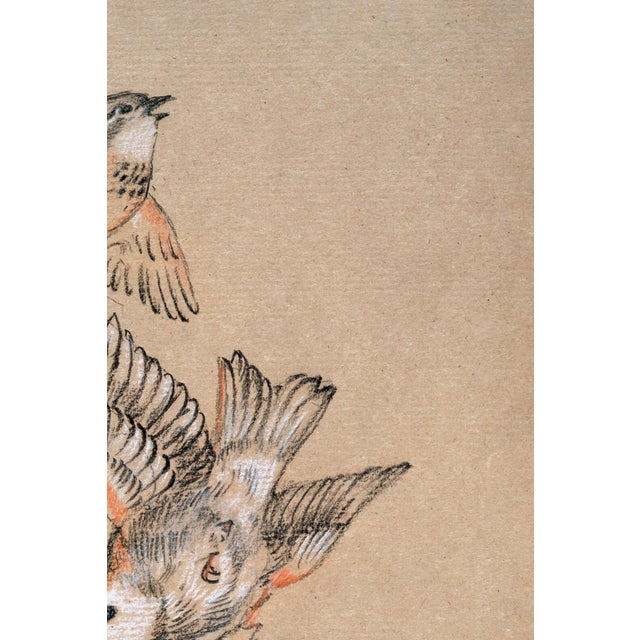 Study of Birds: Finches by Sir Edward Burne-Jones, Vintage Art Print Reproduction, 16" X 24" For Sale - Image 4 of 9