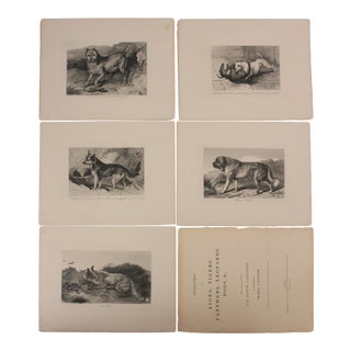 After Edwin Landseer; Plates From Lions, Tigers, Panthers, Leopards, Dogs, 1853 - Set of 6 For Sale