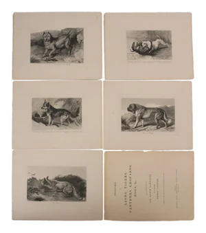 After Edwin Landseer; Plates From Lions, Tigers, Panthers, Leopards, Dogs, 1853 - Set of 6