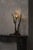 Posidoni bronze and handblown glass table lamp, 1 light, by emilie lemardeley handmade dimensions: d 22 x w 35 x h 66 cm....