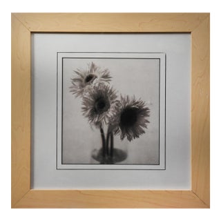 1990s Gerbera Trio Art Deco Photography For Sale