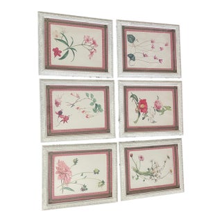 1960s 6 Pink Botanical Pictures ,Custom Frames For Sale