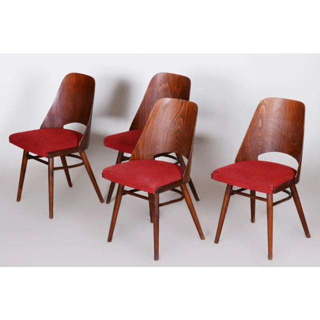 Wood Mid-Century Beech Dining Chairs attributed to Oswald Haerdtl, 1950s, Set of 4 For Sale - Image 7 of 11