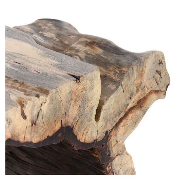 Modern Classic Home Furniture Organic Console a Dramatic Blend of Art and Nature. For Sale - Image 3 of 5