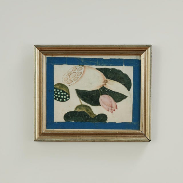 Set of Nine Antique Chinese Botanical Fruit Paintings on Pith Paper For Sale - Image 12 of 18