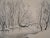Charles LACOSTE (after) Pardies, undergrowth in winter, 1946 Original lithograph Signed in the plate Numbered out of...