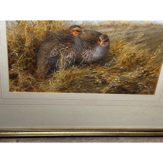 British Ornithology Watercolor of Grey Partridges in New Forest Moor in the Manner of Archibald Thorburn For Sale - Image 4 of 18