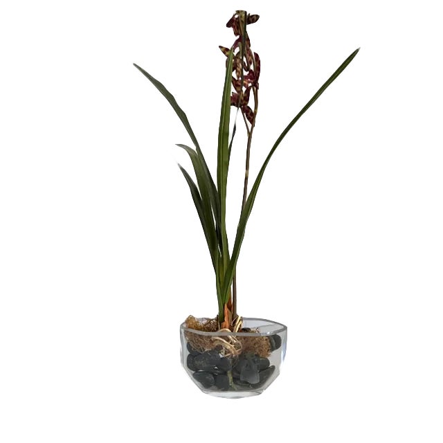 Enchanting Orrefors signed crystal vase featuring a young woman gazing at the moon and stars. We love it as a treasured...