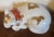 Ceramic Large 13.25" Japanese Kutani Porcelain Figure of a Sleeping Cat For Sale - Image 7 of 15