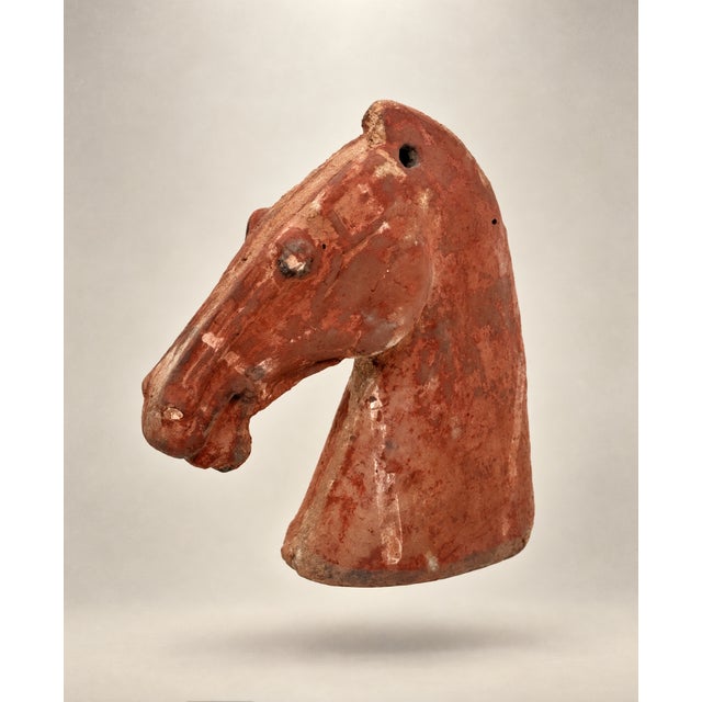 Han Dynasty Antique Chinese Pottery Horse Head Funerary Tomb Figure For Sale - Image 4 of 10