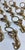 Late 20th Century Vintage Ornate Brass Reclining Jaguar Dinner Napkin Holders ~ Set of 12 For Sale - Image 5 of 8
