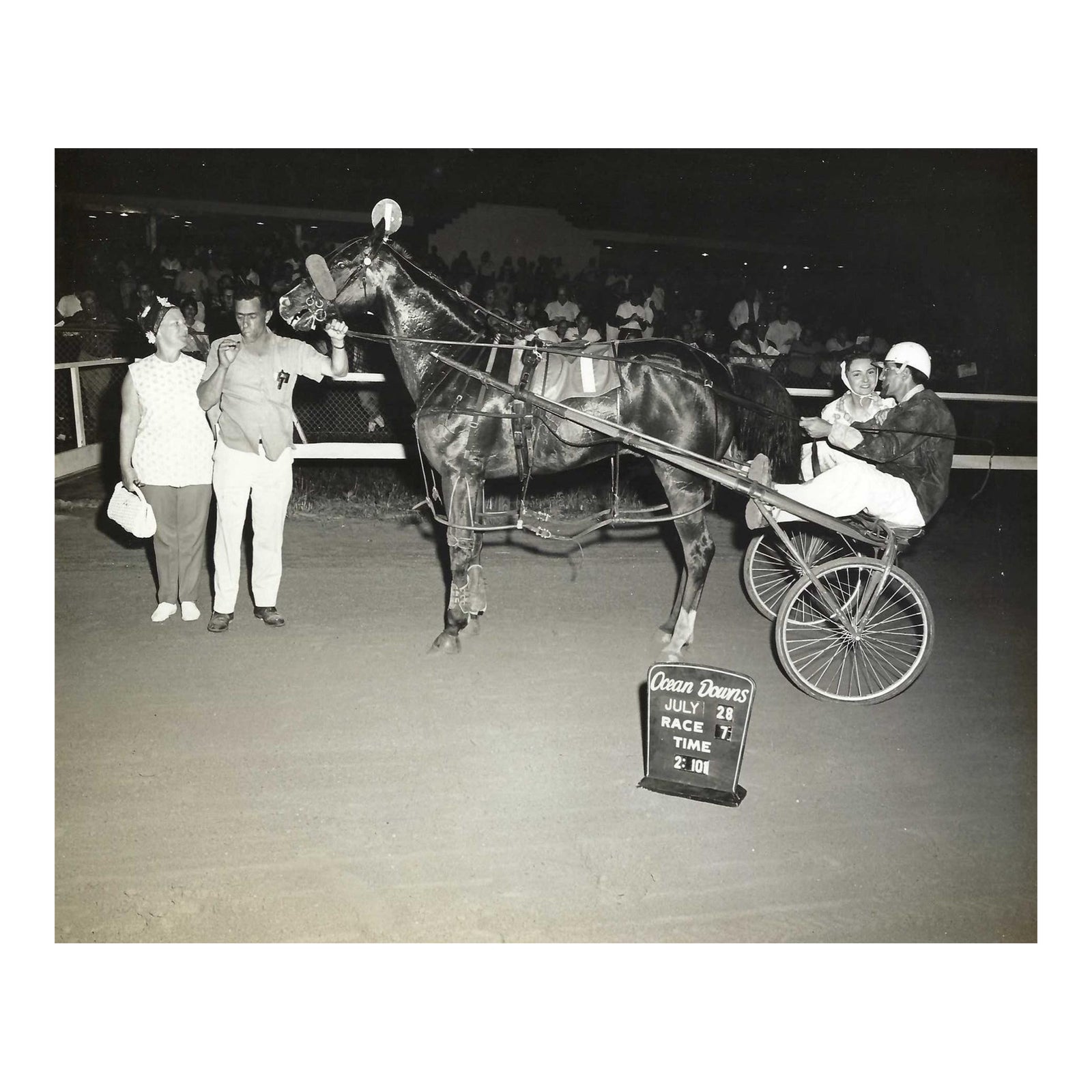 1960s Ocean Downs Harness Racing Equestrian Photograph | Chairish