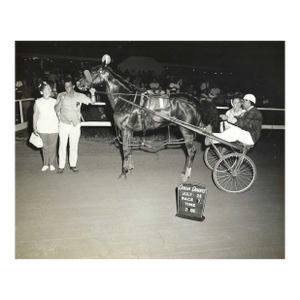 1960s Ocean Downs Harness Racing Equestrian Photograph