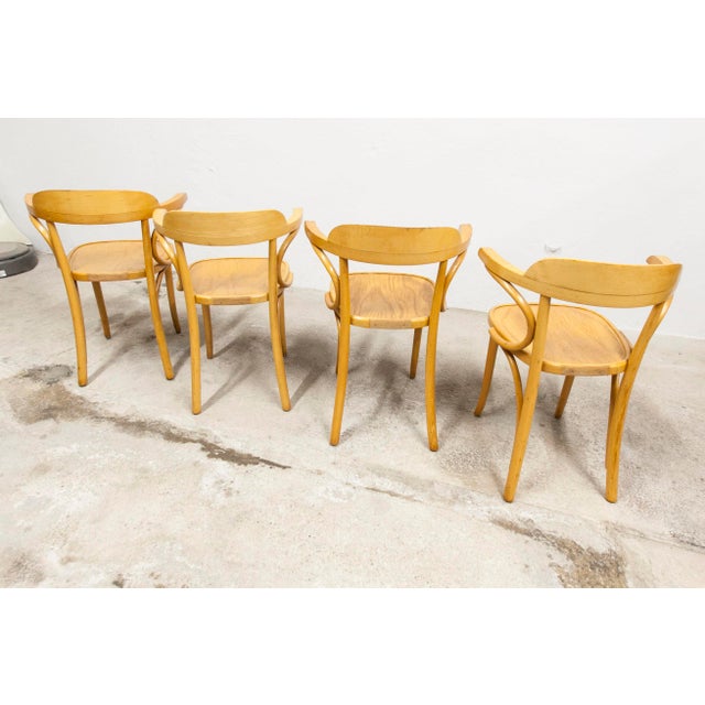 1960s Bistro Armchairs, 1960s, Set of 4 For Sale - Image 5 of 18