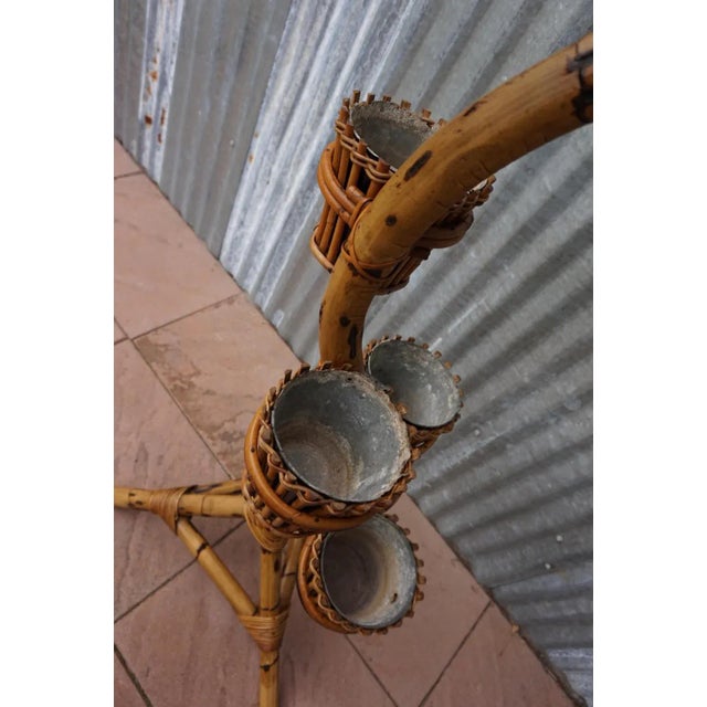 Bamboo Plant Stand from Rohe Noordwolde, 1960s For Sale - Image 6 of 12