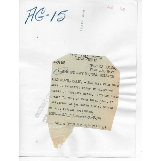 Figurative 1943 Deep Sea Diver Photograph For Sale - Image 3 of 3