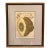 Giovanni Battista Ferrari Hesperides 1646 Botanical Citrus Engraving – “Limon Sponginus Liguria Verrucosus” Rare Scientific Fruit Study Print For Sale