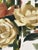 Early 21st Century Recomposed No. 2 by Jon Doran | Oil on panel Painting of pink and cream roses with abstract elements For Sale - Image 5 of 5
