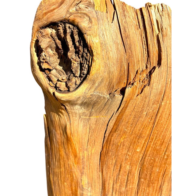 One-of-a-kind, naturally sculpted live edge slab, salvaged from a vintage California Juniper tree. Measuring approximately...