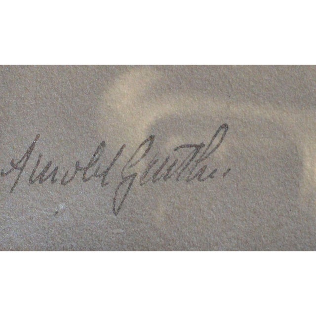 Late 19th Century The Poet's Son Billie 1898 by Arnold Genthe For Sale - Image 5 of 6