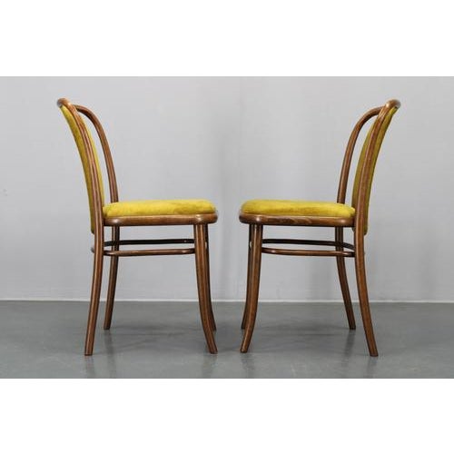 Beech Bentwood Dining Chairs attributed to Ton, Former Czechoslovakia, 1970s, Set of 4 For Sale - Image 17 of 18