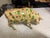 "Very Rare" Cowparade "Mad Money Cow" Large 2002 For Sale - Image 4 of 7