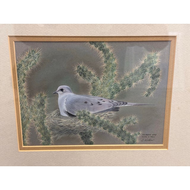 Silver Signed S. Wicklund “Mourning Dove Nesting in Cholla” Framed Original Bird Illustration For Sale - Image 8 of 12