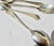 English Silver-Plate Demitasse Spoons- a Set of 4 For Sale - Image 3 of 4